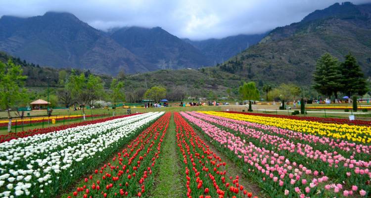 Kashmir Highlights Tour - Golden Triangle India Tours 2