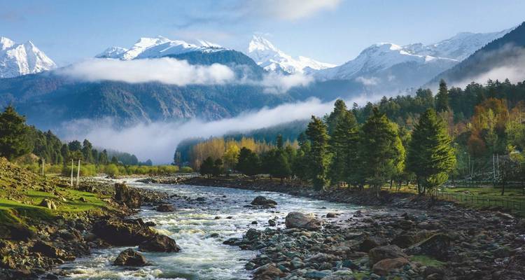 Kashmir Highlights Tour - Golden Triangle India Tours 6