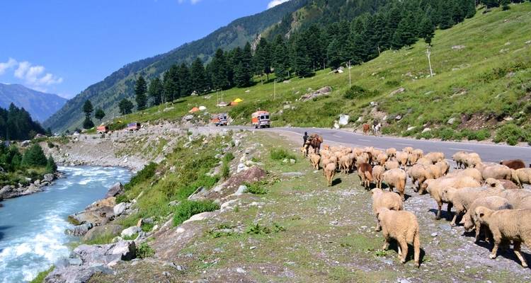 Kashmir Highlights Tour - Golden Triangle India Tours 3