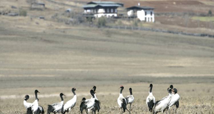 Vacances en famille au Bhoutan - Bhutan Best Inbound Tour 10