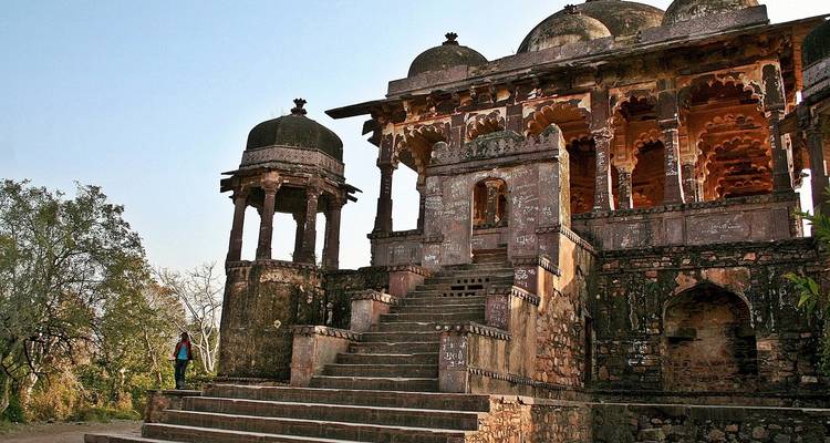 Ranthambore National Park Tour - Golden Triangle India Tours 7