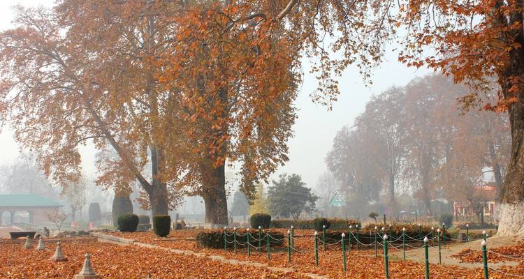 Circuit au Cachemire avec Srinagar - Golden Triangle India Tours 7