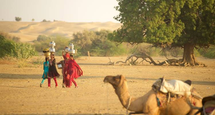 Rajasthan Village Tour - Golden Triangle India Tours 7