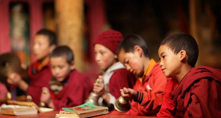 Top ventas - Delicias de Ladakh - Trip India Hotels and Holidays  1