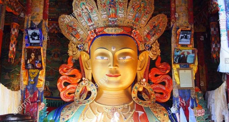 Top ventas - Delicias de Ladakh - Trip India Hotels and Holidays  2