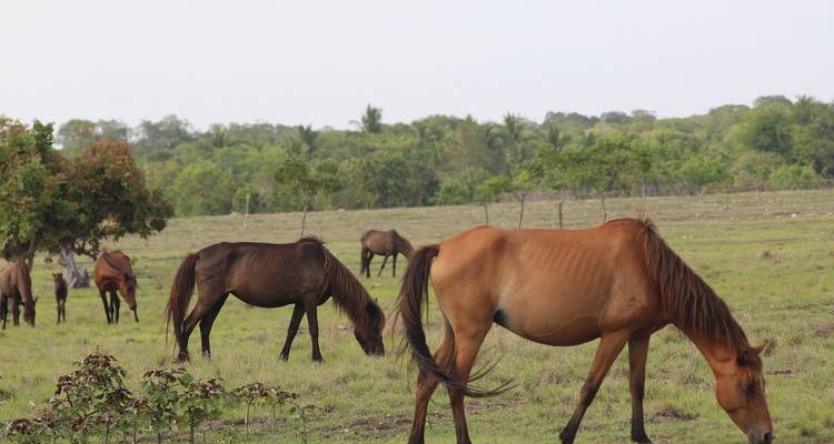 4 Days Adventure in Sumba Island - Adventure Archipelago 9