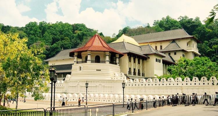 Sri Lanka Dorada - 8 Días 7 Noches - ASY Tours Sri Lanka 6