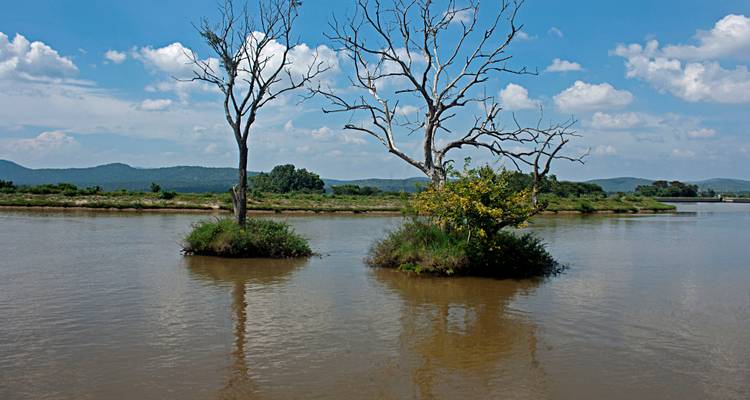 Customized 11 Days Tour in Kerala State of India with Daily Departure - Agate Travel 10
