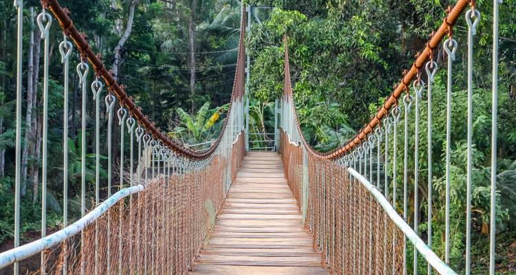 Customized 11 Days Tour in Kerala State of India with Daily Departure - Agate Travel 9