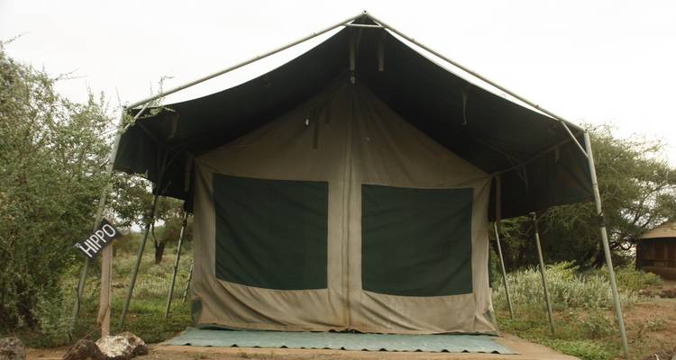 8 Day Kenya Budget Shared vehicle driving safari 2025/2026 - CKC Tours & Travel 4