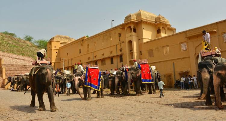 Circuito al triángulo de oro con Udaipur - Golden Triangle India Tours 8