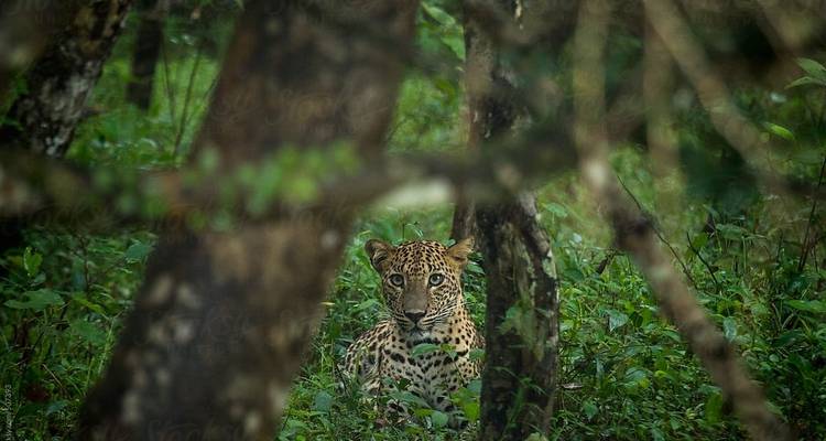 Circuit photographique de la faune et de la flore en Inde - Golden Triangle India Tours 10
