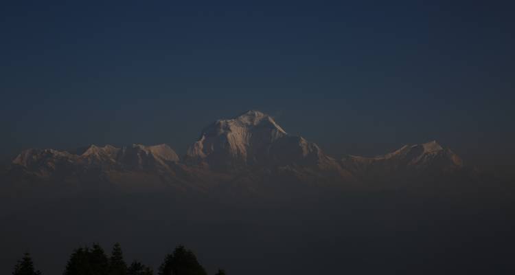 Annapurna Base Camp  8 Days Trek - Sherpa Expedition Teams 7