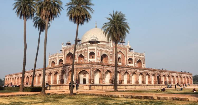 12 Days Royal Bengal Tiger Tours of India With Taj Mahal from Calcutta - Travel Con 8