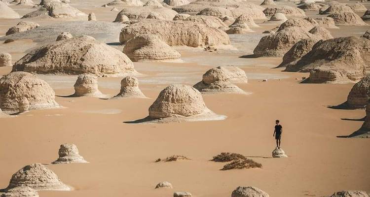Vaste paysage désertique avec une personne debout parmi des formations rocheuses.