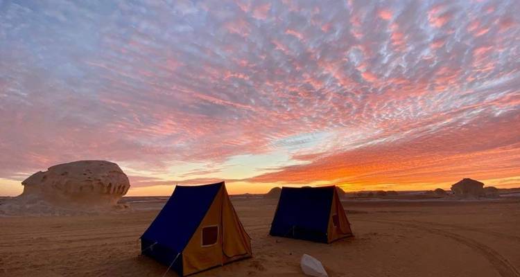 Au départ du Caire - Circuit privé de 3 jours et 2 nuits dans le désert blanc et l'oasis de Bahariya - Sun Pyramid Tours 8