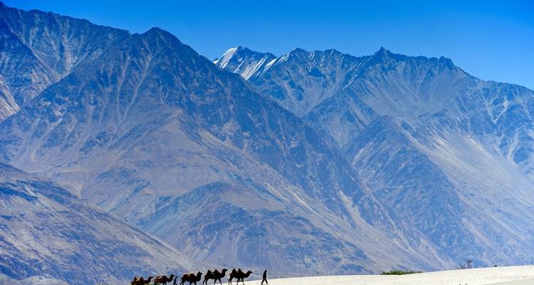 Circuito a Leh Ladakh - 8 días - Golden Triangle India Tours 4