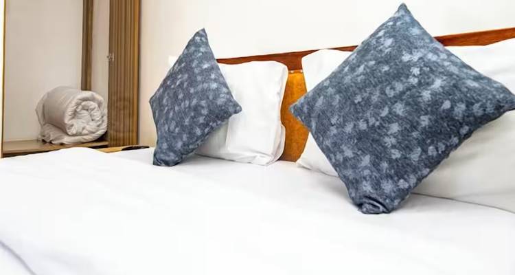 Interior of a bedroom with pillows on a bed