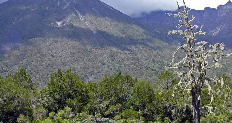 Join Our Expert-Guided 4-Day Mount Meru Hiking Expedition 2025/ 2026. - Africa Natural Tours 3