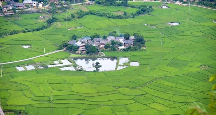 Vietnam atemporal: viaje de 12 días por Hanói, la bahía de Halong y Hoi An - Legend Travel Group 8