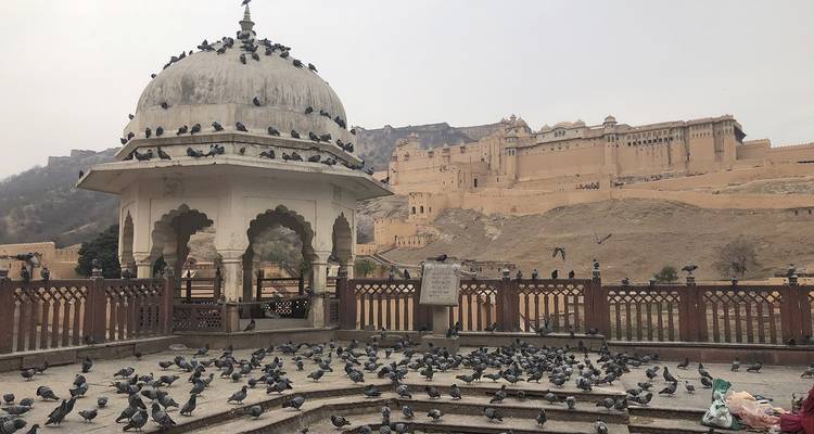 Aventura personalizada en el triángulo de la India y Udaipur, salida diaria - Agate Travel 7