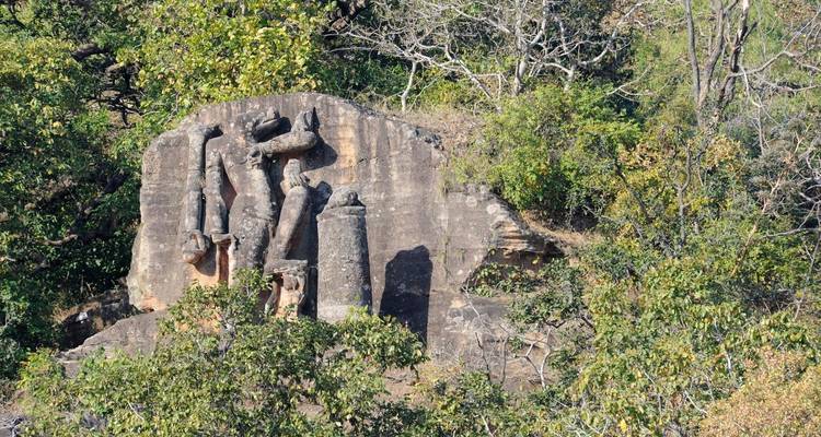 India Wildlife Tour - Golden Triangle India Tours 3