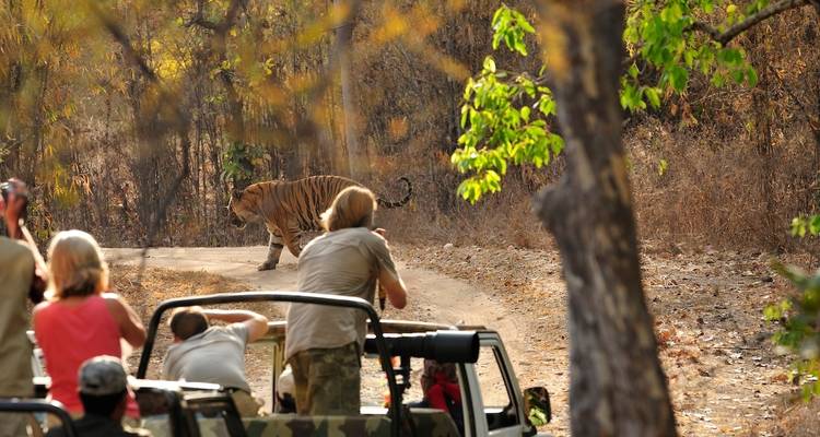 India Wildlife Tour - Golden Triangle India Tours 8