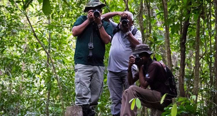 Observación de aves en Sri Lanka - Overa Tours 3