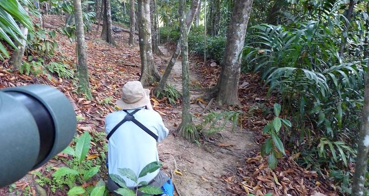 Observación de aves en Sri Lanka - Overa Tours 10