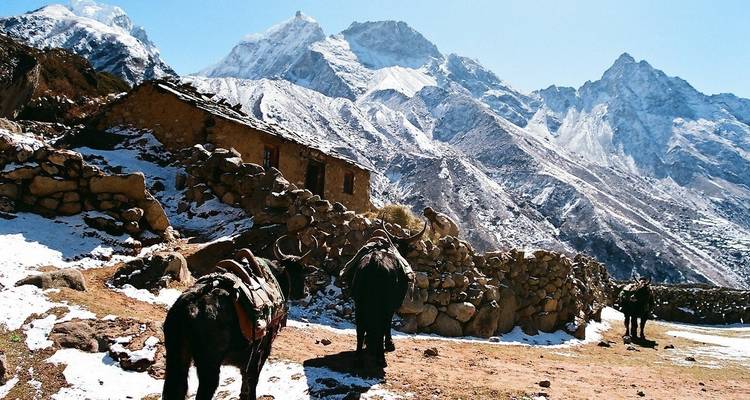 Gokyo Lakes and Gokyo Ri Trek - 13 Days - Luxury Holidays Nepal Pvt. Ltd 10