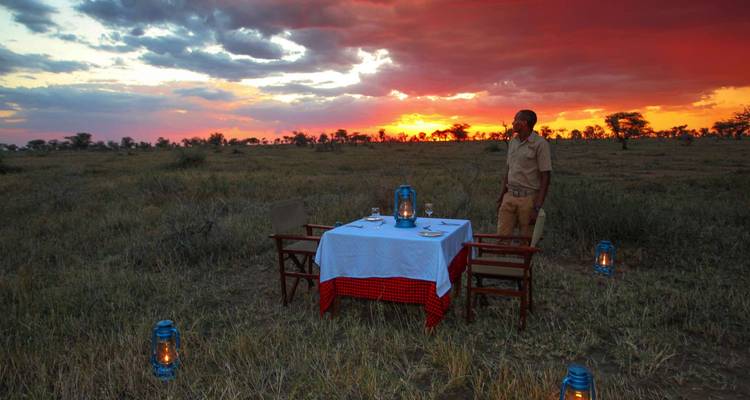 4 jours - Arusha, Serengeti et cratère du Ngorongoro - Professional Safari Africa 2