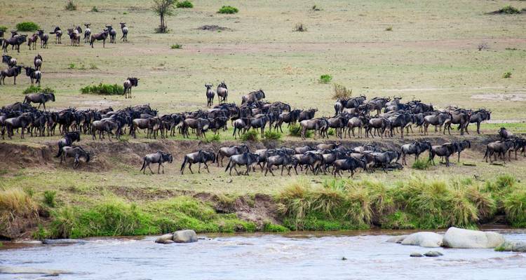 4 jours - Arusha, Serengeti et cratère du Ngorongoro - Professional Safari Africa 3