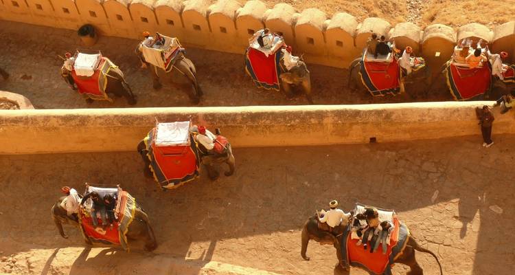 North East with Golden Triangle Tour - Golden Triangle India Tours 7