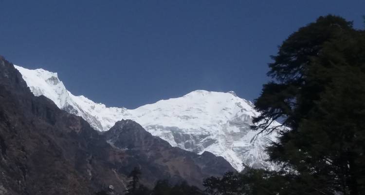 Schneebedeckter Berg, betrachtet durch einen Rahmen von Bäumen.