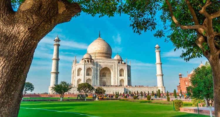 Taj Mahal a través de árboles con un jardín exuberante.