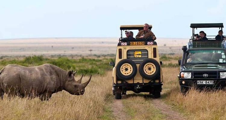 6-Day Tanzania Big Five Comfort Safari: Lake Manyara, Tarangire, Serengeti & Ngorongoro Crater National Park - Gracepatt Ecotours Kenya 2