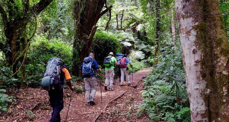10 jours de Trek sur le Kilimandjaro - Route du Lemosho - Gracepatt Ecotours Kenya 3