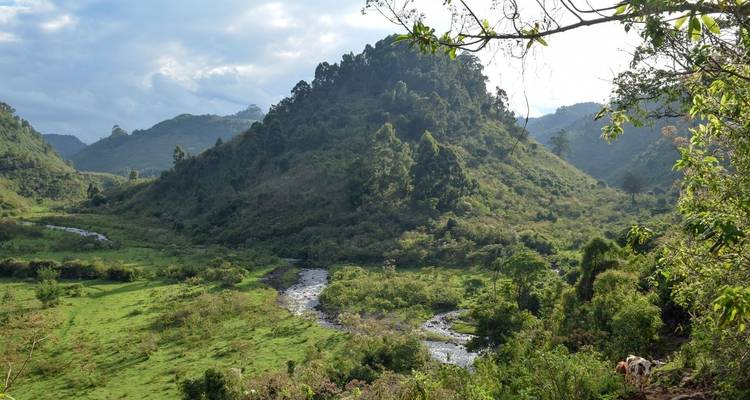 Safari privado de 5 días a Aberdare, lago Nakuru y Masai Mara desde Nairobi - Gracepatt Ecotours Kenya 2