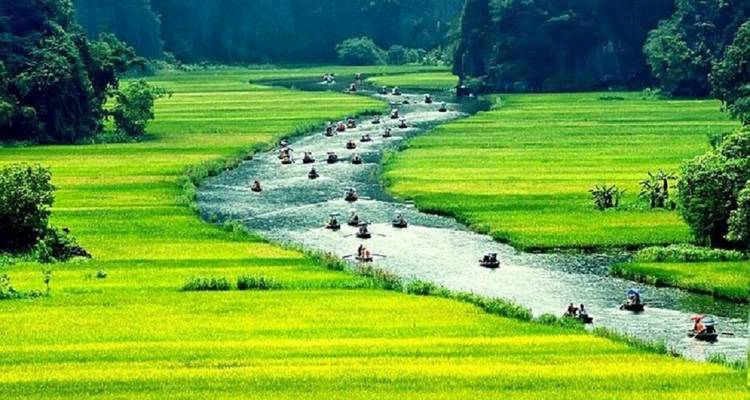 Discover Hanoi, Halong Bay  and Ninh Binh 6 Days 5 Nights - Asia Pacific Travel 10