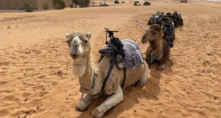 Circuit de 3 jours dans le désert de Fès à Marrakech - Tilila Travel 8
