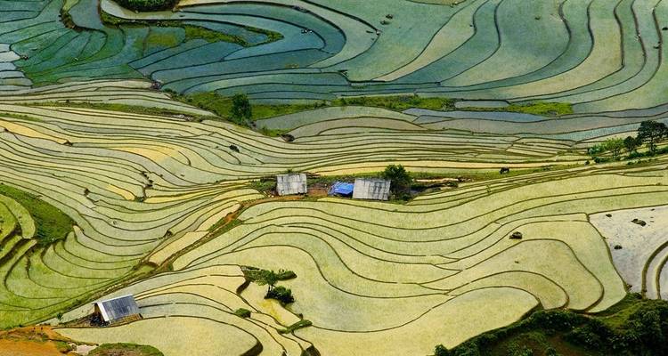 Impresionante viaje de 13 días por Vietnam de norte a sur - Indochina Tours Booking Co., Ltd 6