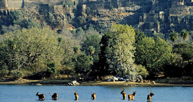 Tournée spéciale dames en Inde du Nord - Golden Triangle India Tours 2