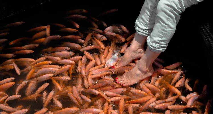 Pies sumergidos en agua con peces alrededor.