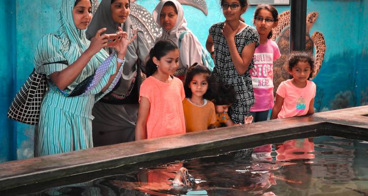 Grupo familiar observando peces en un acuario.