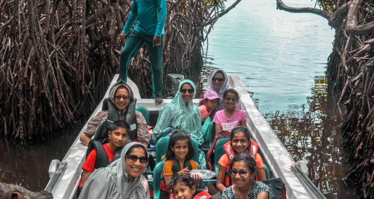 Grupo de personas en un tour en barco a través de manglares.