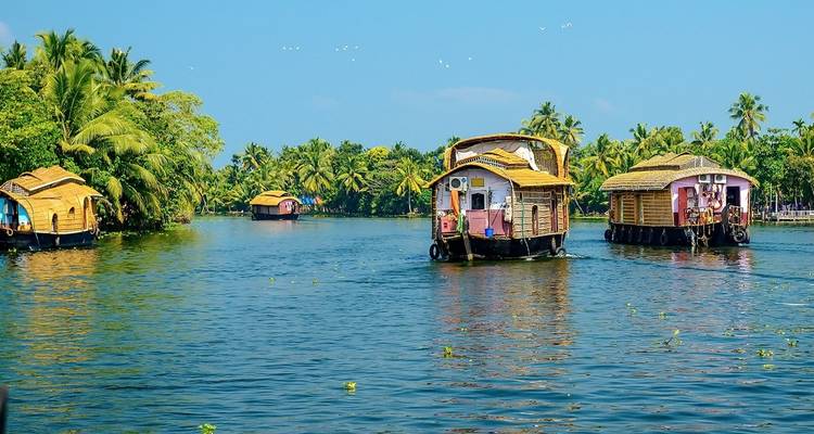 Circuit spécial femmes au Kerala - Golden Triangle India Tours 9