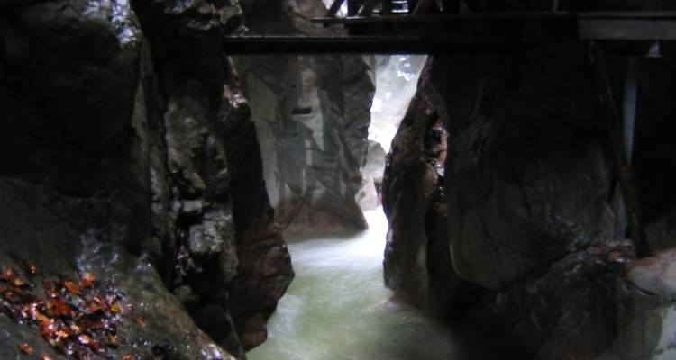 Bavarian Salzburg Alpine Meadows Trail - Bestseller Reisen GmbH 4