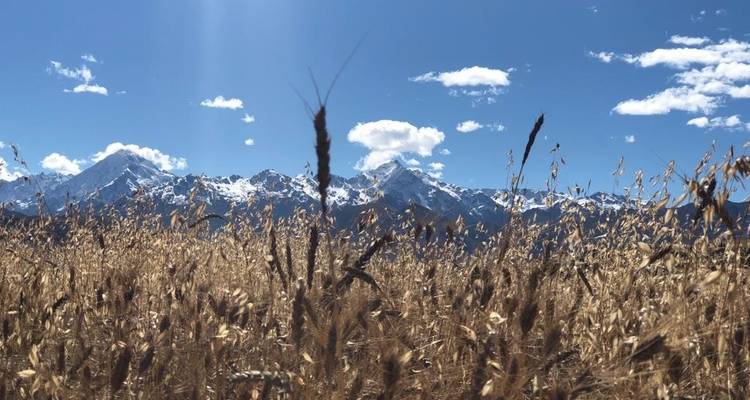 Descubriendo Los Andes De Perú Cusco/Montaña Arcoíris/Valle Sagrado/Machu Picchu - Qosqo Limitless Tours 4