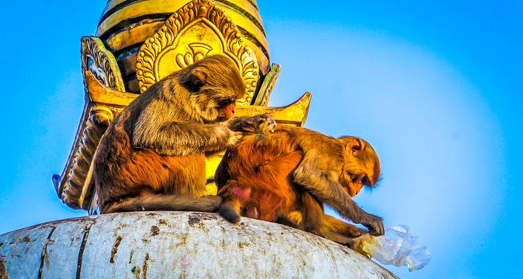 Circuito privado personalizado por Nepal, Katmandú y Nagarkot, salida diaria - Agate Travel 2