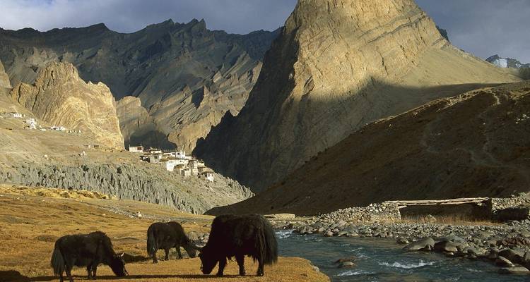Expérience à Leh Ladakh - Golden Triangle India Tours 7